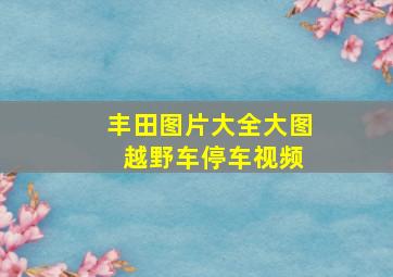 丰田图片大全大图 越野车停车视频